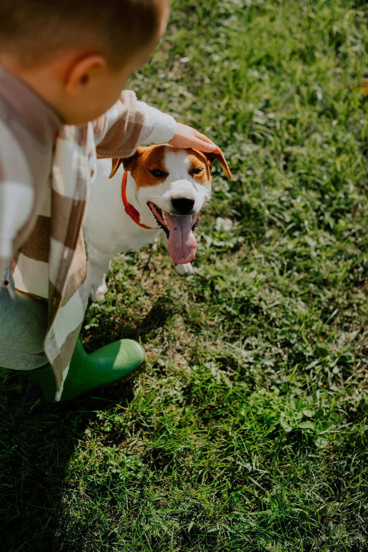 Learning Through Paws and Claws