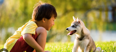 Animals and ADHD in Children's Books