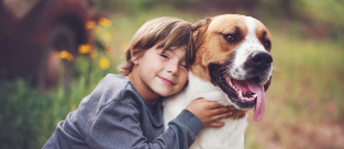 Animals and Commitment in Children's Books