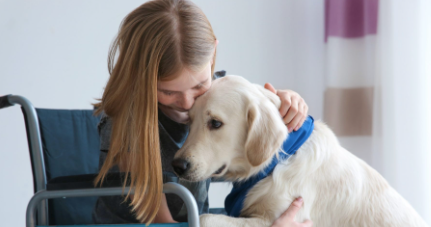Animals & Disabilities in Children's Books