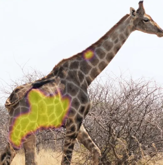 AI and saving animal lives