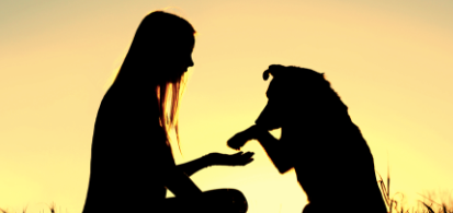 The Human Animal Bond