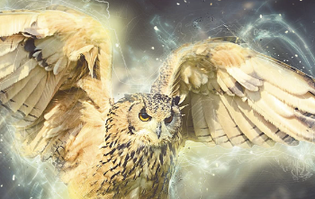Concept of spirit animals