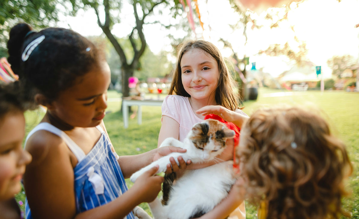 Furry Teachers:  How Animals Help Children Learn Life's Most Important Lessons