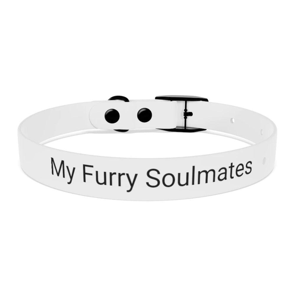 Pet Accessories
